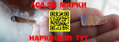 дживик Кандалакша
