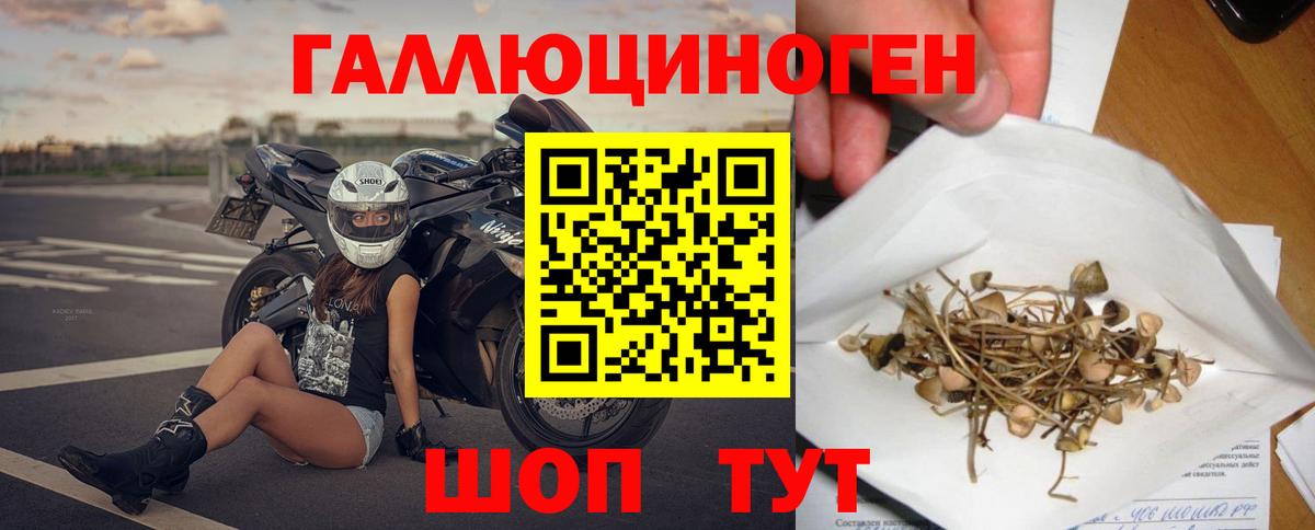 Красноуфимск  Псилоцибиновые грибы прущие грибы  Псилоцибиновые грибы Cubensis  Вход с VPN 